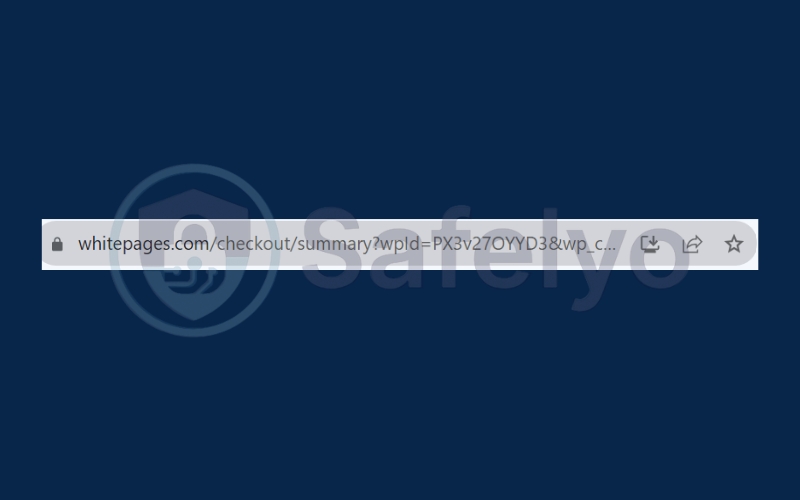 Copy the URL of your profile from the browser address bar