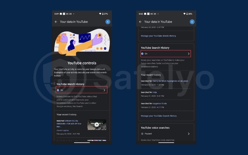 Find the YouTube Watch History and tap the arrow button