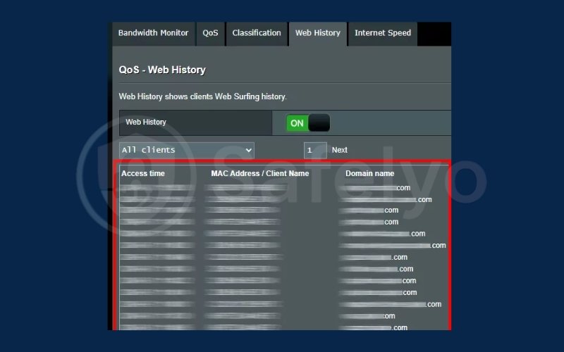 The browsing history under 'Domain name.' The browsing history under 'Domain name.'