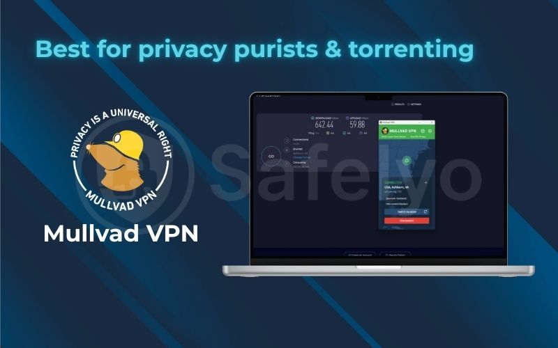 Best for privacy purists torrenting: Mullvad VPN