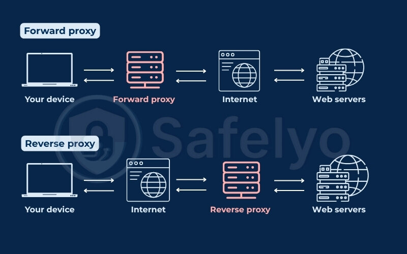 Forward proxy and reverse proxy