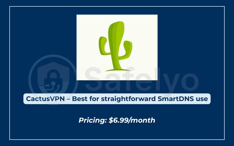 The best SmartDNS services for streaming - CactusVPN