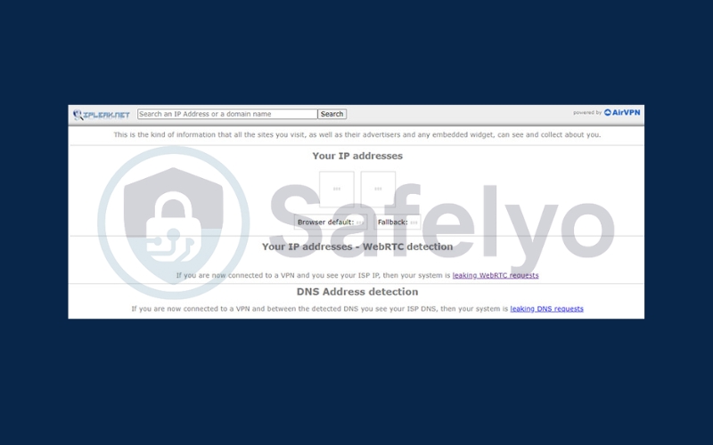 Check for DNS leaks 1