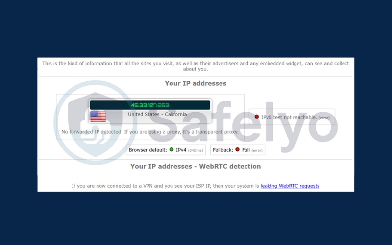 Check for DNS leaks 2