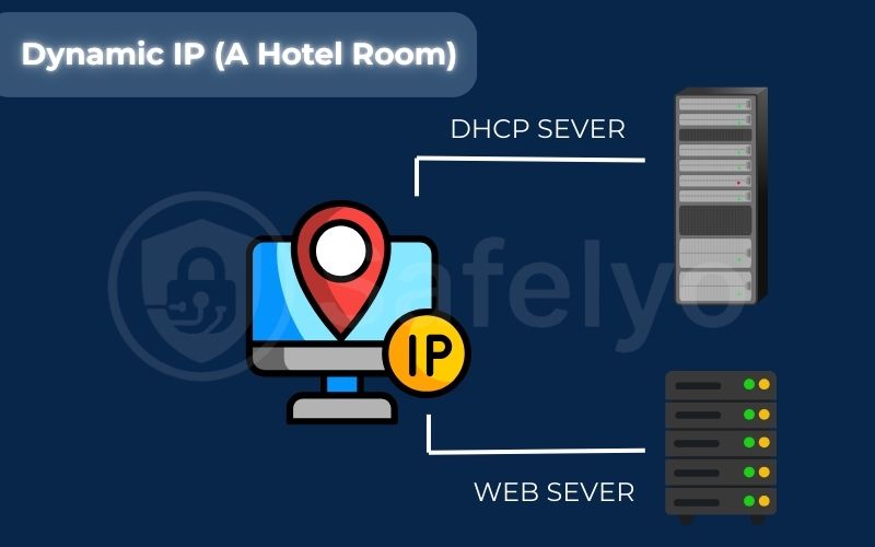 Dynamic IP (A Hotel Room)