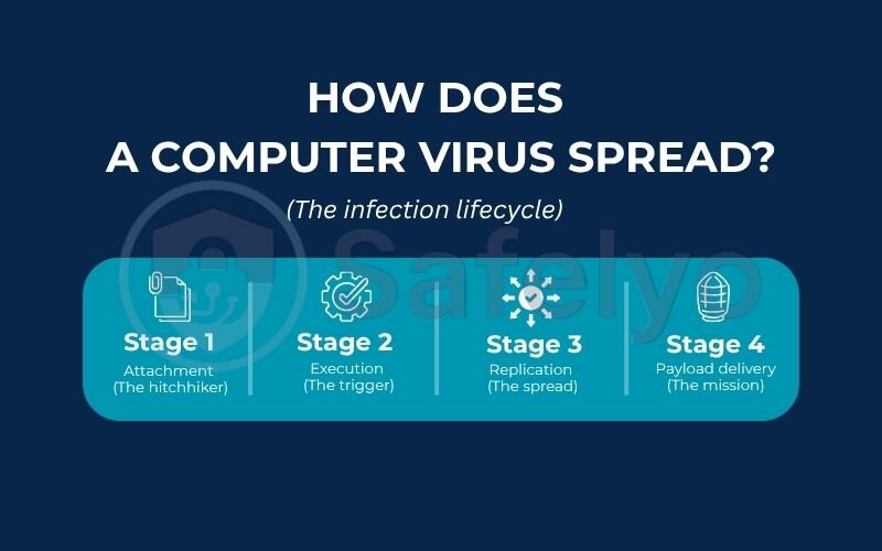 How does a computer virus spread How does a computer virus spread