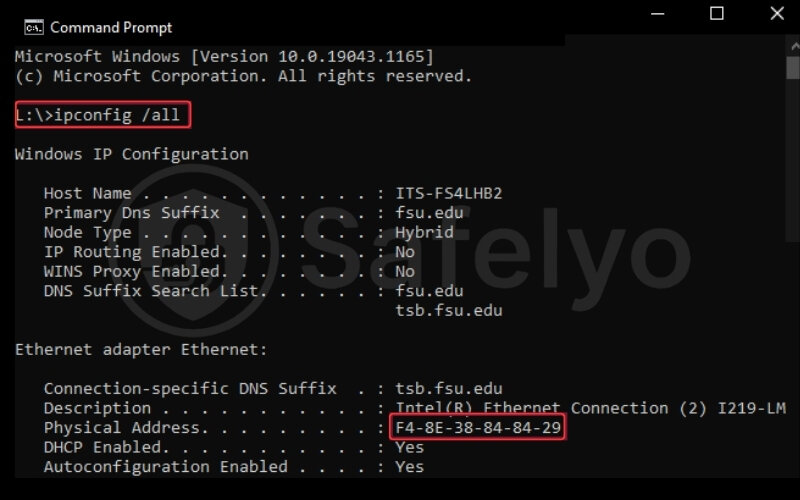 MAC address on Windows