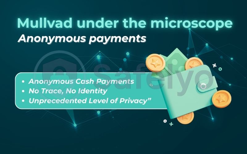 Mullvad under the microscope: Anonymous payments Mullvad under the microscope: Anonymous payments