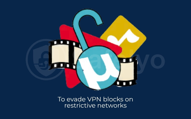To evade VPN blocks on restrictive networks