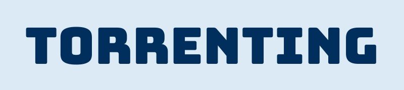 torrenting-support-img