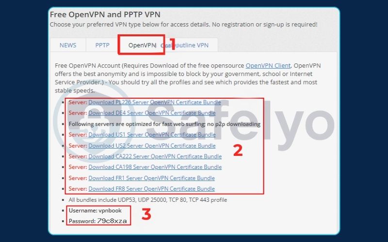 Use free OpenVPN config files (1)