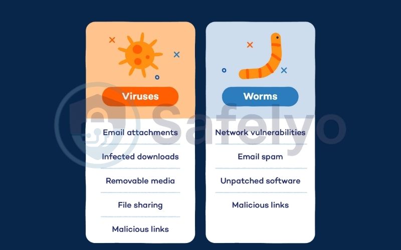 What is a worm virus? What is a worm virus?